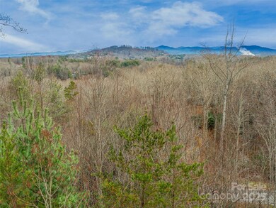 25 Autumn Shade Ct unit 75, Arden, NC 28704 - photo 4