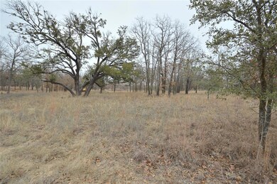 Lot 207 Bishop Dr, Weatherford, TX 76088 - photo 2