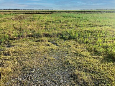 Tbd, Lot 7 Claude Leblanc Rd, New Iberia, LA 70560 - photo 2