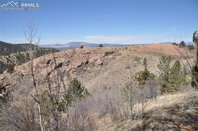 View from Top of Lot