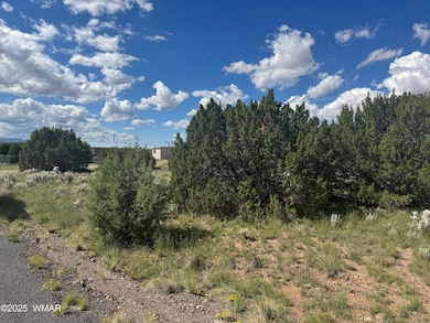 79 Alpine Ln, Concho, AZ 85924 - photo 3