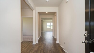 10023 Hamilton Branch Loop unit Lot 726 - Aria A, Myrtle Beach, SC 29579 - photo 6