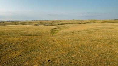 005_dji_20250718075934_0234_d_771