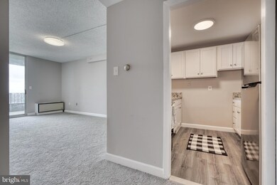 28 Allegheny Ave unit 1808, Towson, MD 21204 - photo 4