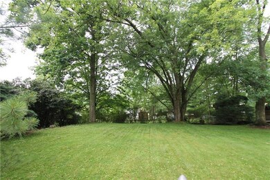 more backyard