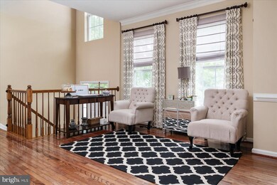 102 Egypt Farms Rd, Owings Mills, MD 21117 - photo 7