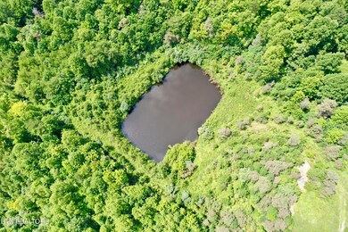 0 Westbourne Rd unit 1274842, Duff, TN 37729 - photo 4