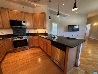 215 5th St SW unit 1A, Charlottesville, VA 22903 - photo 5