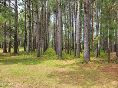 Crow Creek Lot 24