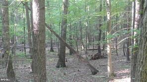 0 Calypso Trail unit WVMO2006988, Great Cacapon, WV 25422 - photo 2