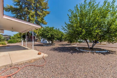 Large back yard