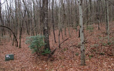 Additional View