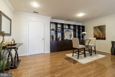 4800 Coyle Rd unit 507, Owings Mills, MD 21117 - photo 3