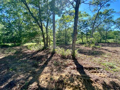 209 Oak Ln, West Tisbury, MA 02575 - photo 3