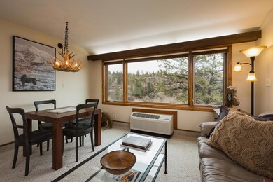 Tamarron Condos unit 213, Durango, CO 81301 - photo 3