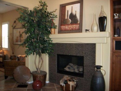 Gas Fireplace