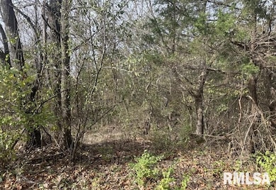 Lot 177 Sycamore Dr, Goreville, IL 62939 - photo 2