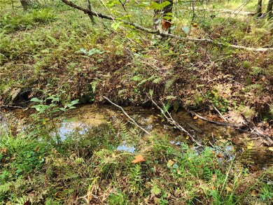 Lot 3 Walnut Shade Rd, Louisa, VA 23093 - photo 4