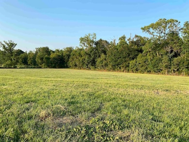 Lot 29 Buddy Gore Rd, Gonzales, LA 70737 - photo 3