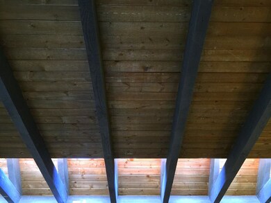 Living Room Ceiling