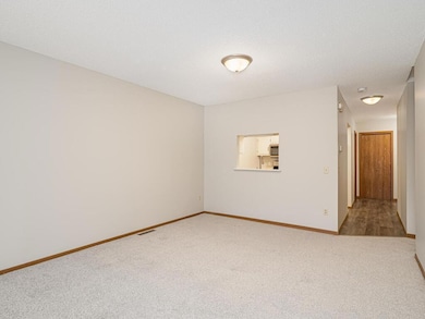 423 Whispering River Ln, Farmington, MN 55024 - photo 5