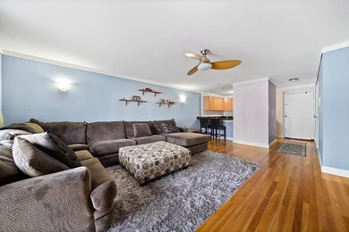 48 Coffey St unit 10B, Dorchester, MA 02122 - photo 4