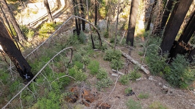 Lot 04 Boulder Brook Dr, Boulder Creek, CA 95006 - photo 4