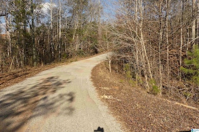 LOT # 9 Harbour Point Dr unit 9, Delta, AL 36258 - photo 7