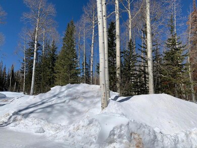 Mtn View 3