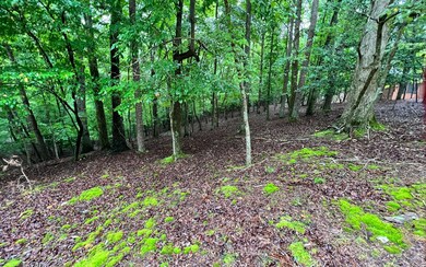 Additional View