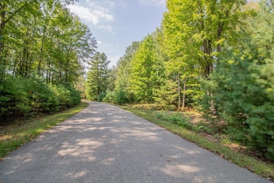 6362 Cedar Trace, Canadian Lakes, MI 49346 - photo 4