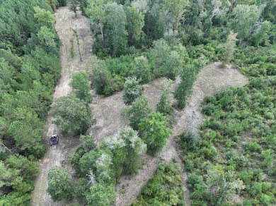 La Hwy 60 unit LotWP001, Franklinton, LA 70438 - photo 3