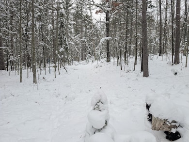 off Wooded Ln, Conover, WI 54519 - photo 4