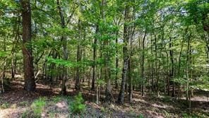 2 Arrow Trail, Waleska, GA 30183 - photo 7