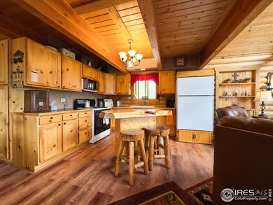 3676 Cherokee Meadows Rd, Livermore, CO 80536 - photo 7