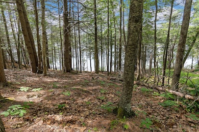 00 Englebrekt, Edgecomb, ME 04556 - photo 7