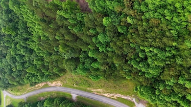 0 Lots 218 and 219 Stoney Point, Double Springs, AL 35553 - photo 3