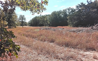 2565 5 Mile Creek Rd, Flatonia, TX 78941 - photo 7