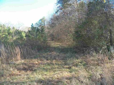 00 Blue Ridge Riding Club Rd, West Union, SC 29696 - photo 3