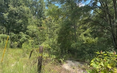 TBD 208th St, O Brien, FL 32071 - photo 3