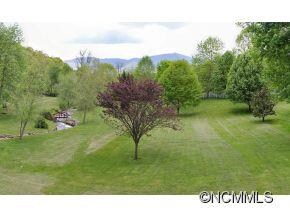 View from Deck