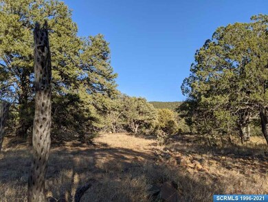 39 Vesuvius Way, Silver City, NM 88061 - photo 3