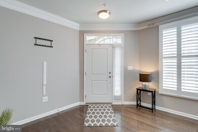 23562 Buckland Farm Terrace, Ashburn, VA 20148 - photo 6