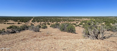 9182 Texas Ln, Show Low, AZ 85901 - photo 3