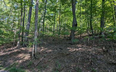 Additional View