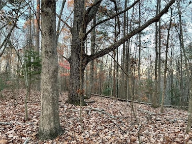 View of local wilderness with a wooded view