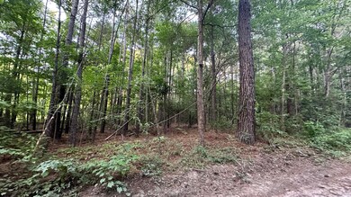 0 Pearl Acres Ln, Huger, SC 29450 - photo 2