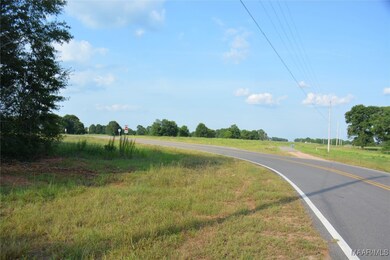 22877 Highway 84, Elba, AL 36323 - photo 4