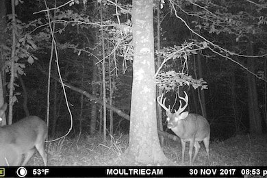 01 Stampley Rd, Roxie, MS 39661 - photo 3