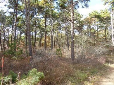 0 Bittersweet Ln, Edgartown, MA 02539 - photo 2
